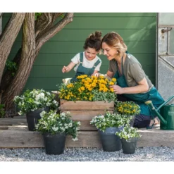 Zauberschnee 'Diamond Frost' 13 Zauberschnee 'Diamond Frost' -Angebote Biohort Store 8818007 8826042 8597007 8585796 3711652 8820748 8823155 8823965 8810038 WE MO 001 SolanumBidensGelbWeiss 1