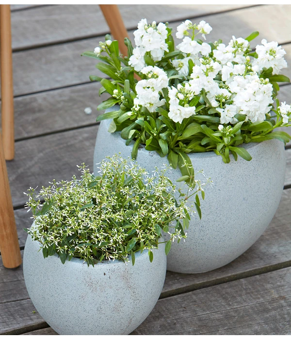 Zauberschnee 'Diamond Frost' 5 Zauberschnee 'Diamond Frost' – Bild 3