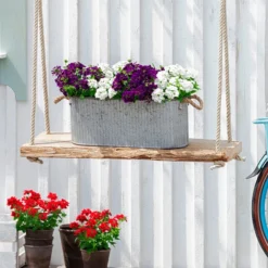 Eisenkraut, Verschiedene Farben -Angebote Biohort Store 8826828 WE MO 001EisenkrautT13