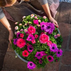 Beet- & Balkonpflanzen-Set Rosa Frühling, 6-teilig -Angebote Biohort Store 8827982 WE MO 003 BB SetFruehjahrRosa