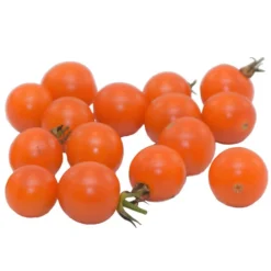 Zuckertomate, Orange 9 Zuckertomate, Orange -Angebote Biohort Store 8830101 WE FS 003 ZuckertomateOrange