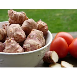 Topinambur -Angebote Biohort Store 8830184 PR MO 001 TopinamburPixabay