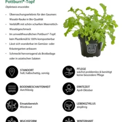 Bio Wasabi Rauke Im Pottburri®-Topf -Angebote Biohort Store 8830291 WE IG 001 BioWasabiRaukeimPottburriTopf