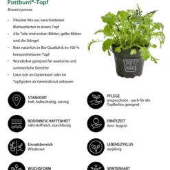 Bio Asia Wildkräuter Im Pottburri®-Topf -Angebote Biohort Store 8830473 WE IG 001 BioAsiaWildkraeuterimPottburriTopf