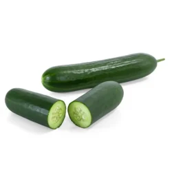 Mini Schlangengurke -Angebote Biohort Store 8830747 WE FS 003 Minischlangengurke