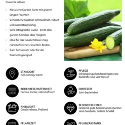 Schlangengurke -Angebote Biohort Store 8830788 WE IG 001 Schlangengurke