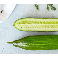 Bioland Gurke, Veredelt