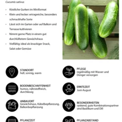 Snackgurke -Angebote Biohort Store 8830960 WE IG 001 Snackgurke