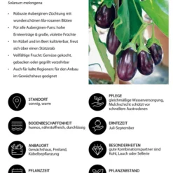 Aubergine -Angebote Biohort Store 8831380 WE IG 001 Aubergine