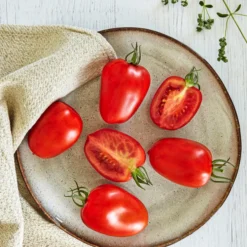 Bioland Eiertomate 7 Bioland Eiertomate -Angebote Biohort Store 8831463 WE MO 001 BiolandEiertomate