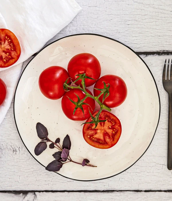 Bioland Buschtomate 5 Bioland Buschtomate – Bild 3