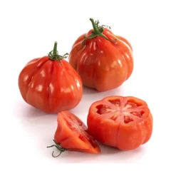 Ochsenherztomate 'Fleurette' -Angebote Biohort Store 8832883 WE DE 001 Ochsenherztomate