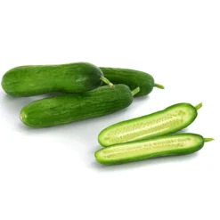 Snackgurke -Angebote Biohort Store 8833063 8830960 WE DE 001 GourmetGartenSnackgurkeVeredelt