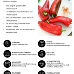 Spitzpaprika, Rot -Angebote Biohort Store 8833501 WE IG 001 Spitzpaprika