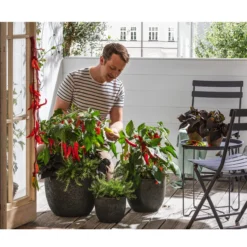 Pick-a-Hot Pep® Peperoni Mit Früchten 8 Pick-a-Hot Pep® Peperoni Mit Früchten -Angebote Biohort Store 8838765 WE MO 002 PeperonimitFrucht