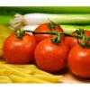 Tomate 'Garance' -Angebote Biohort Store 8839169 WE MO 001 TomateGarance