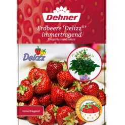 Erdbeere 'Delizz' -Angebote Biohort Store 8840274 ErdbeereDelizzImmertragend Etikett 1