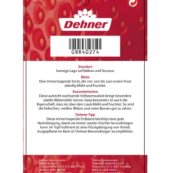 Erdbeere 'Delizz' -Angebote Biohort Store 8840274 ErdbeereDelizzImmertragend Etikett 2