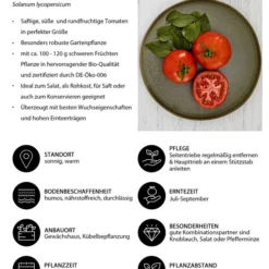 Bioland Tomate, Rundfruchtig -Angebote Biohort Store 8842619 WE IG 001 BiolandTomate
