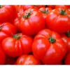 Bioland Fleischtomate