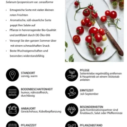 Bioland Cherrytomate -Angebote Biohort Store 8842635 WE IG 001 BiolandCherrytomate